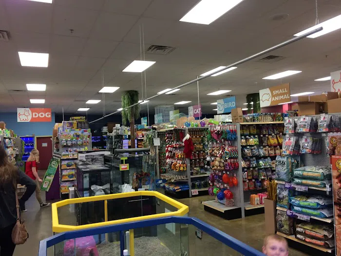 Petland Blue Springs Picture 2