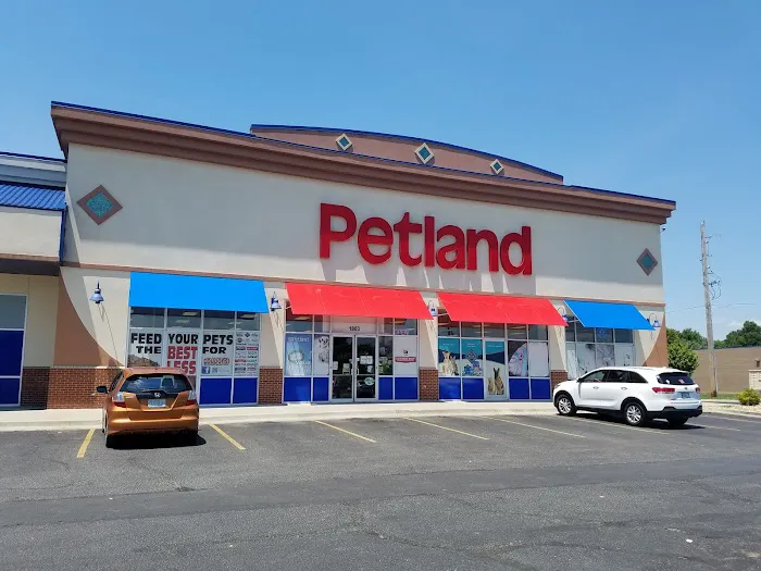 Petland Blue Springs Picture 1