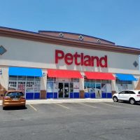 Petland Blue Springs ico