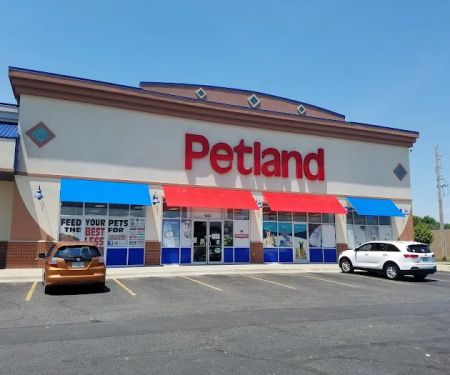 Petland Blue Springs