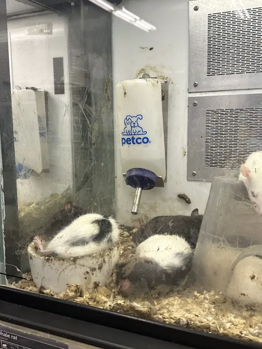 Petco Picture 9