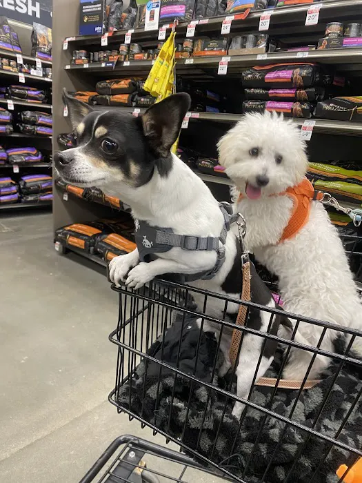 Petco Picture 5