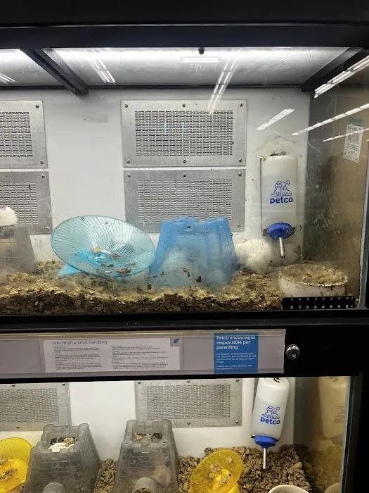 Petco Picture 8