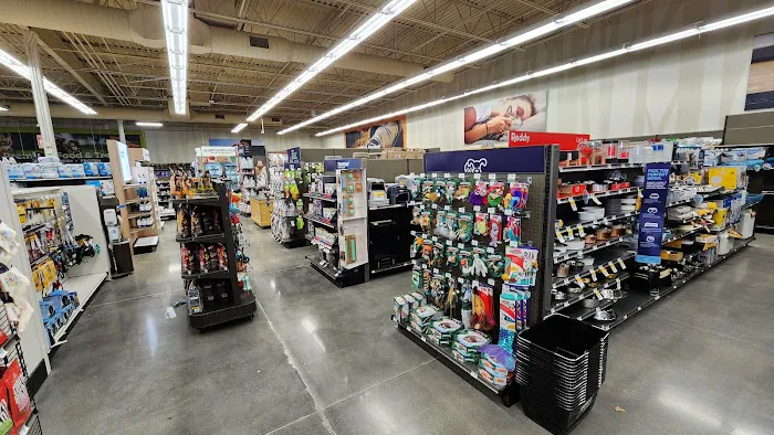 Petco Picture 2