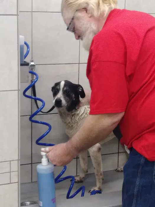 Pet Supplies Plus Kansas City (Lee's Summit) Picture 1