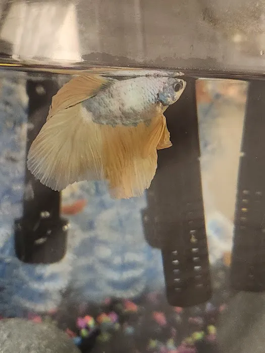 Pet Supplies Plus Kansas City (Lee's Summit) Picture 7