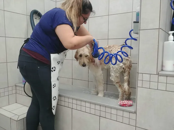 Pet Supplies Plus Kansas City (Lee's Summit) Picture 3