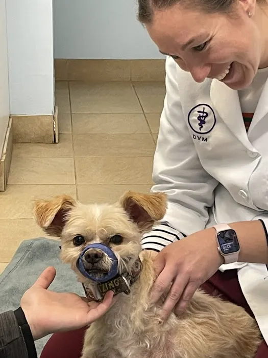 Roaring Brook Veterinary Hospital Picture 7