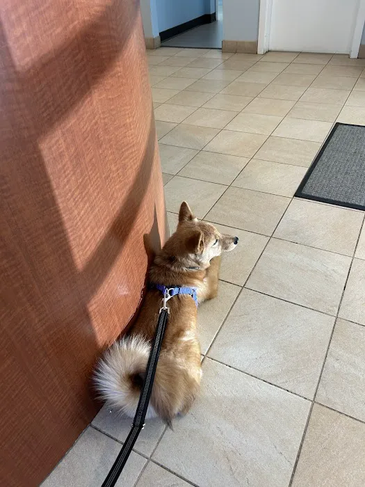 Roaring Brook Veterinary Hospital Picture 5