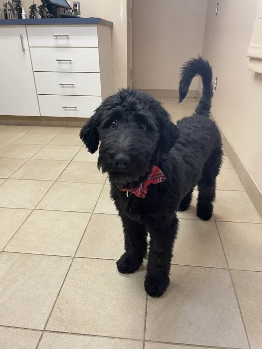Roaring Brook Veterinary Hospital Picture 3