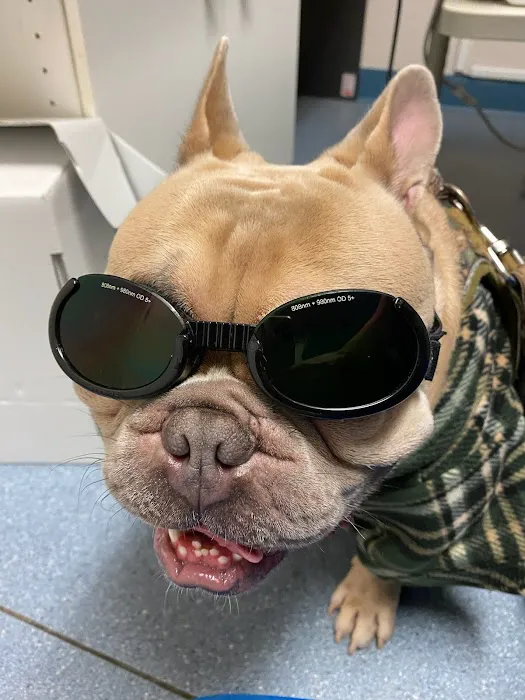 Roaring Brook Veterinary Hospital Picture 9