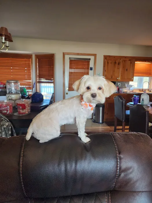 Woof Gang Bakery & Grooming Overland Park Picture 8