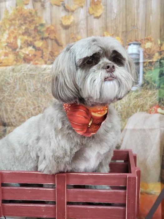Woof Gang Bakery & Grooming Overland Park Picture 7