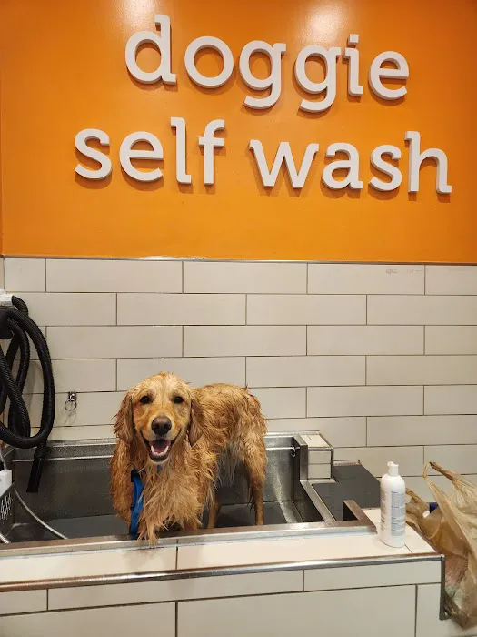 Petco Picture 8