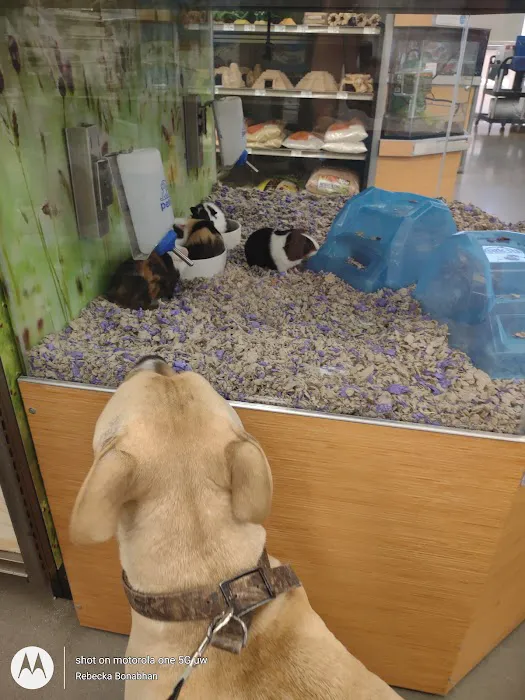 Petco Picture 4