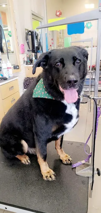 Petco Picture 3