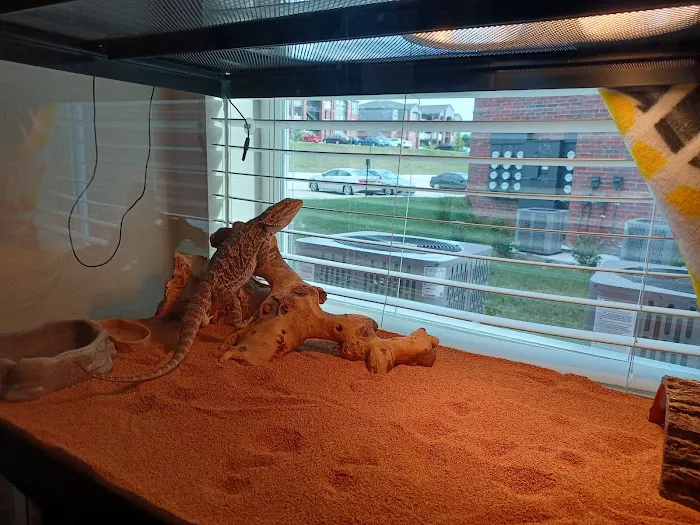 Petco Picture 10