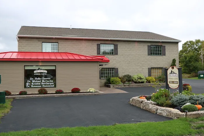 The Village Animal Clinic Picture 1