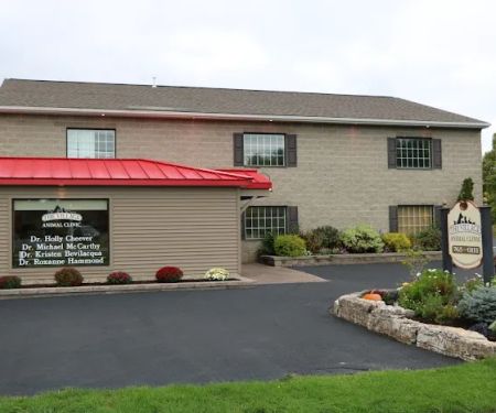 The Village Animal Clinic