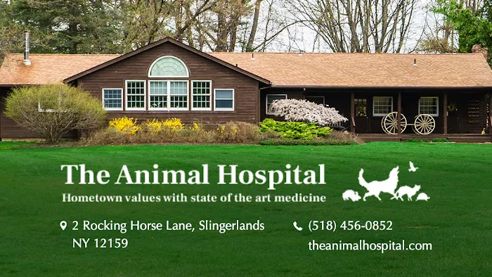 The Animal Hospital Picture 3