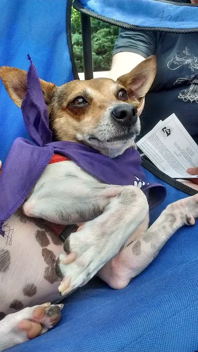 The Animal Hospital Picture 9