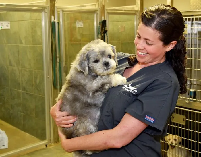 The Animal Hospital Picture 8