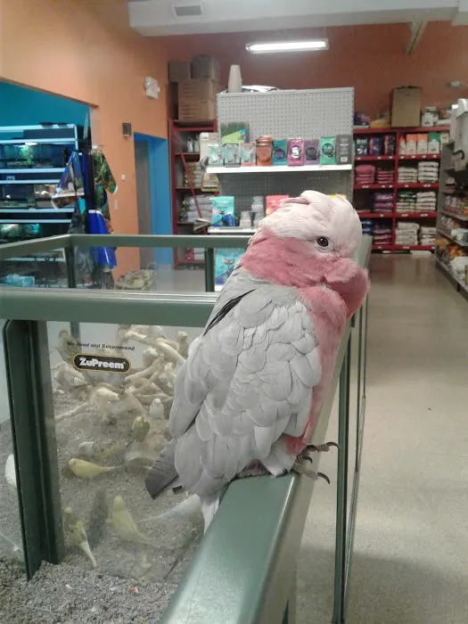 Petland Overland Park Picture 3