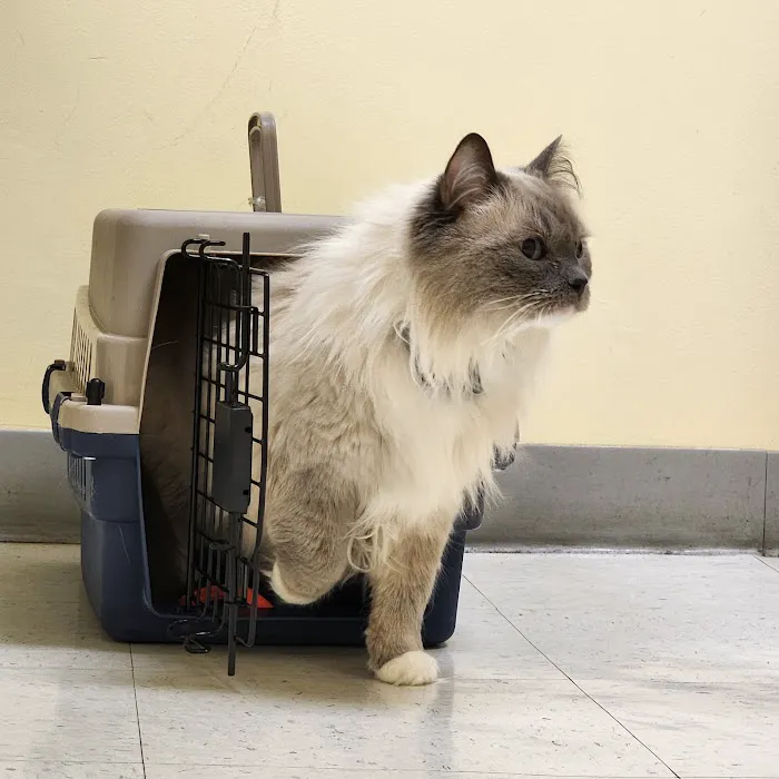 Canterbury Animal Hospital Picture 8