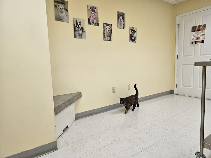 Canterbury Animal Hospital Picture 10