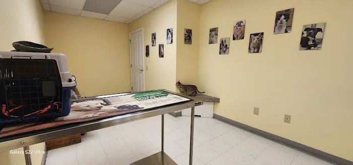 Canterbury Animal Hospital Picture 5