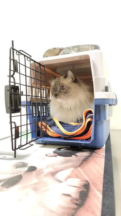 Canterbury Animal Hospital Picture 6