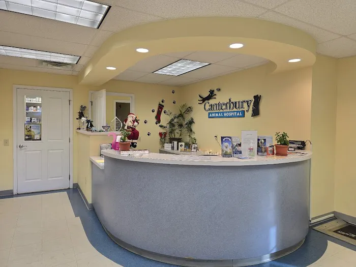 Canterbury Animal Hospital Picture 2