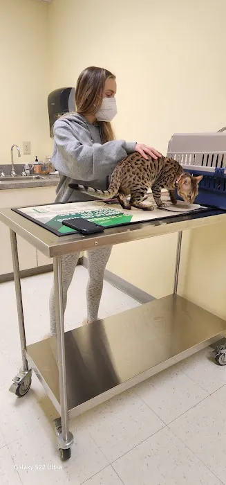 Canterbury Animal Hospital Picture 1