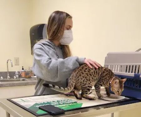 Canterbury Animal Hospital