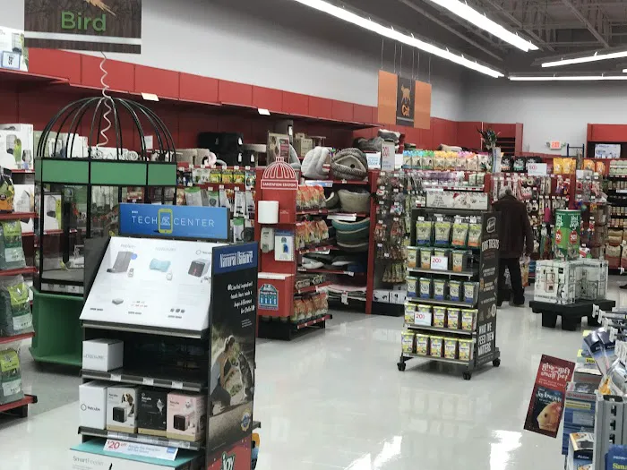 Petco Picture 9