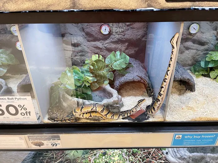 Petco Picture 2