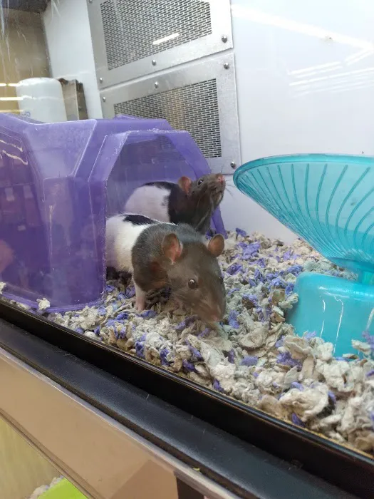 Petco Picture 7