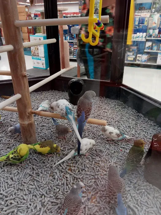 Petco Picture 8