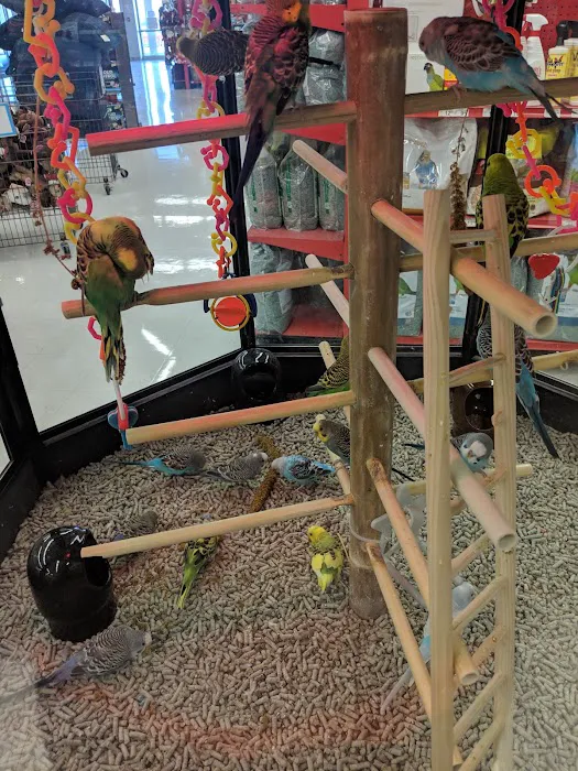 Petco Picture 3