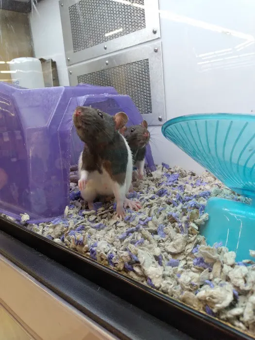 Petco Picture 6