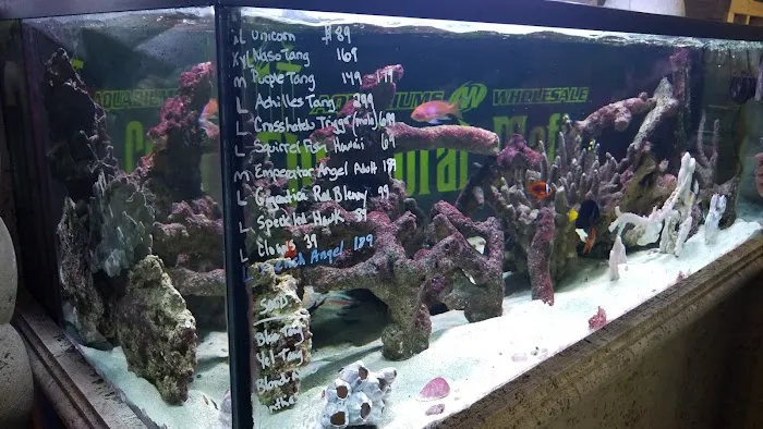 Aquariums Wholesale Picture 2
