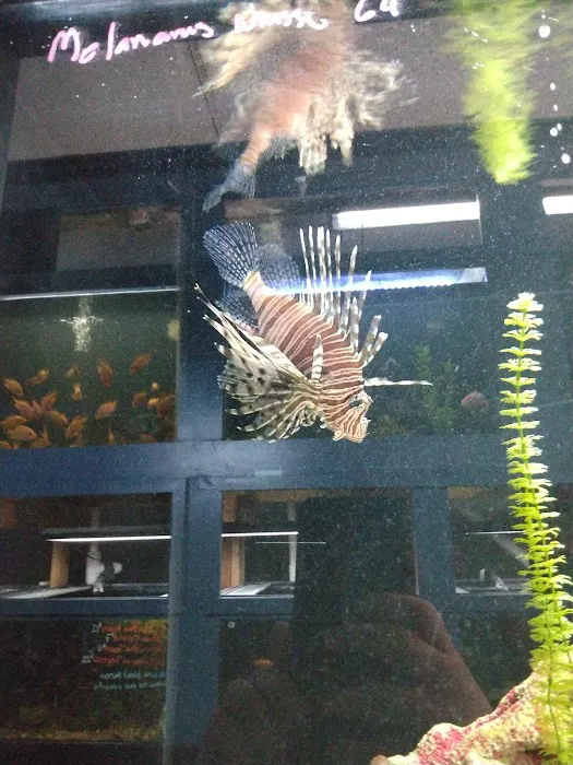 Aquariums Wholesale Picture 6