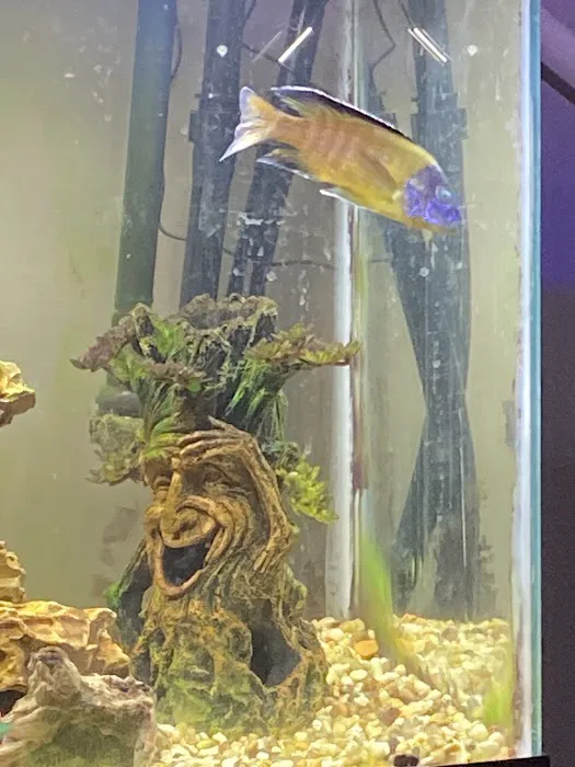 Aquariums Wholesale Picture 1