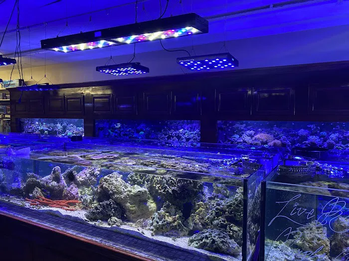 Aquariums Wholesale Picture 7