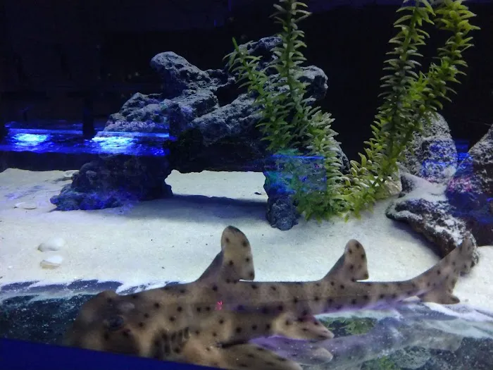 Aquariums Wholesale Picture 4