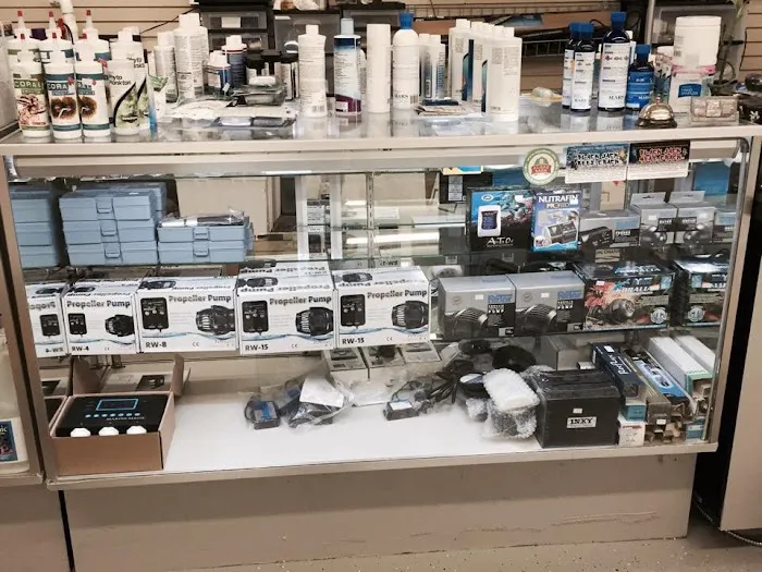 Aquariums Wholesale Picture 9