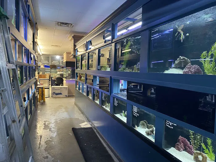 Aquariums Wholesale Picture 3