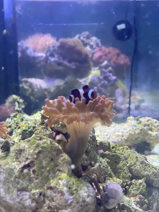 Aquariums Wholesale Picture 5