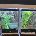 Olathe Pet Shop