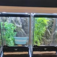 Olathe Pet Shop ico